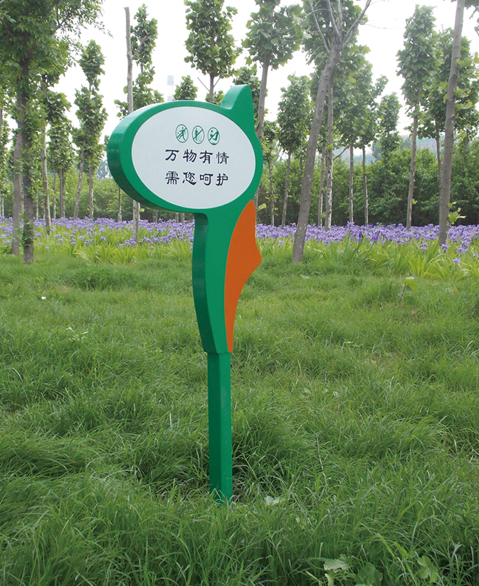 1495595636327342.jpg 206-1.jpg