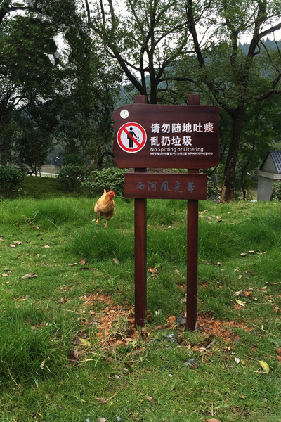 1536256847747306.jpg 1536256847747306.jpg