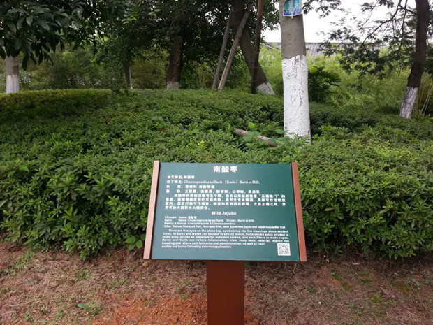 1536608770572431.jpg 1536608770572431.jpg