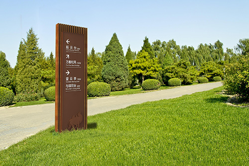 1545697183523828.jpg 12.jpg