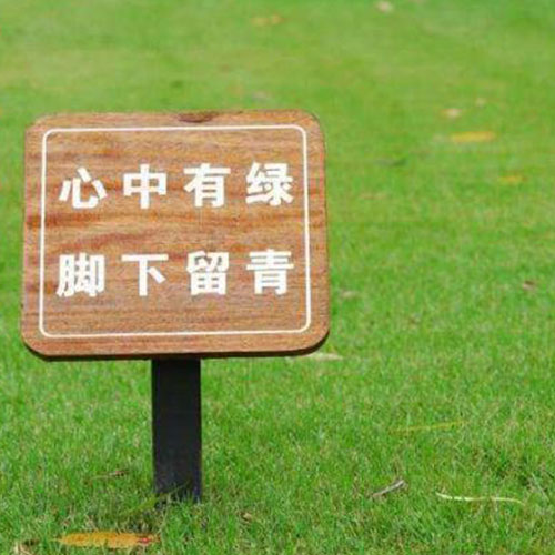 1569722220115868.jpg 6.jpg