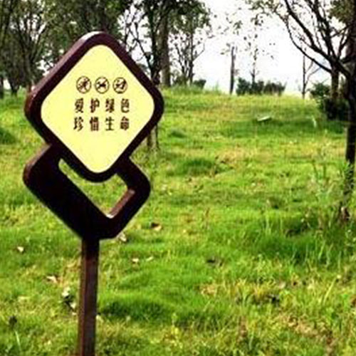 1605261129425397.jpg 10.jpg