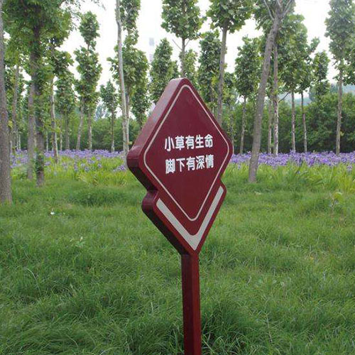 1608890320489125.jpg 1.jpg