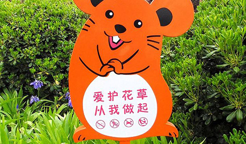 1623061898314024.jpg 19.jpg