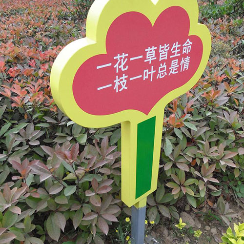 1653032253117300.jpg 5.jpg